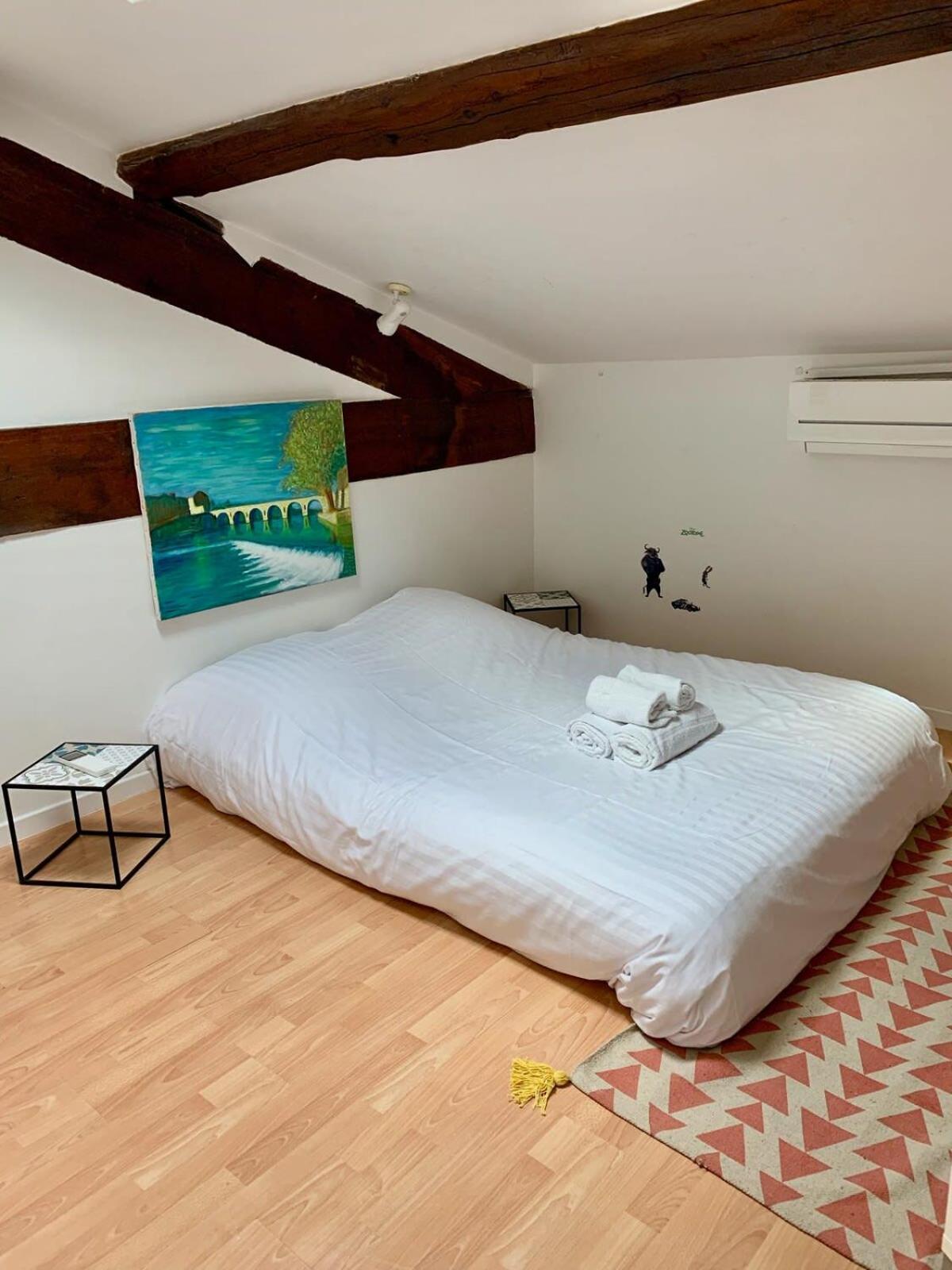GROOMI Le Duplex- Climatisé, 3 chb centre de Montpellier! Extérieur photo