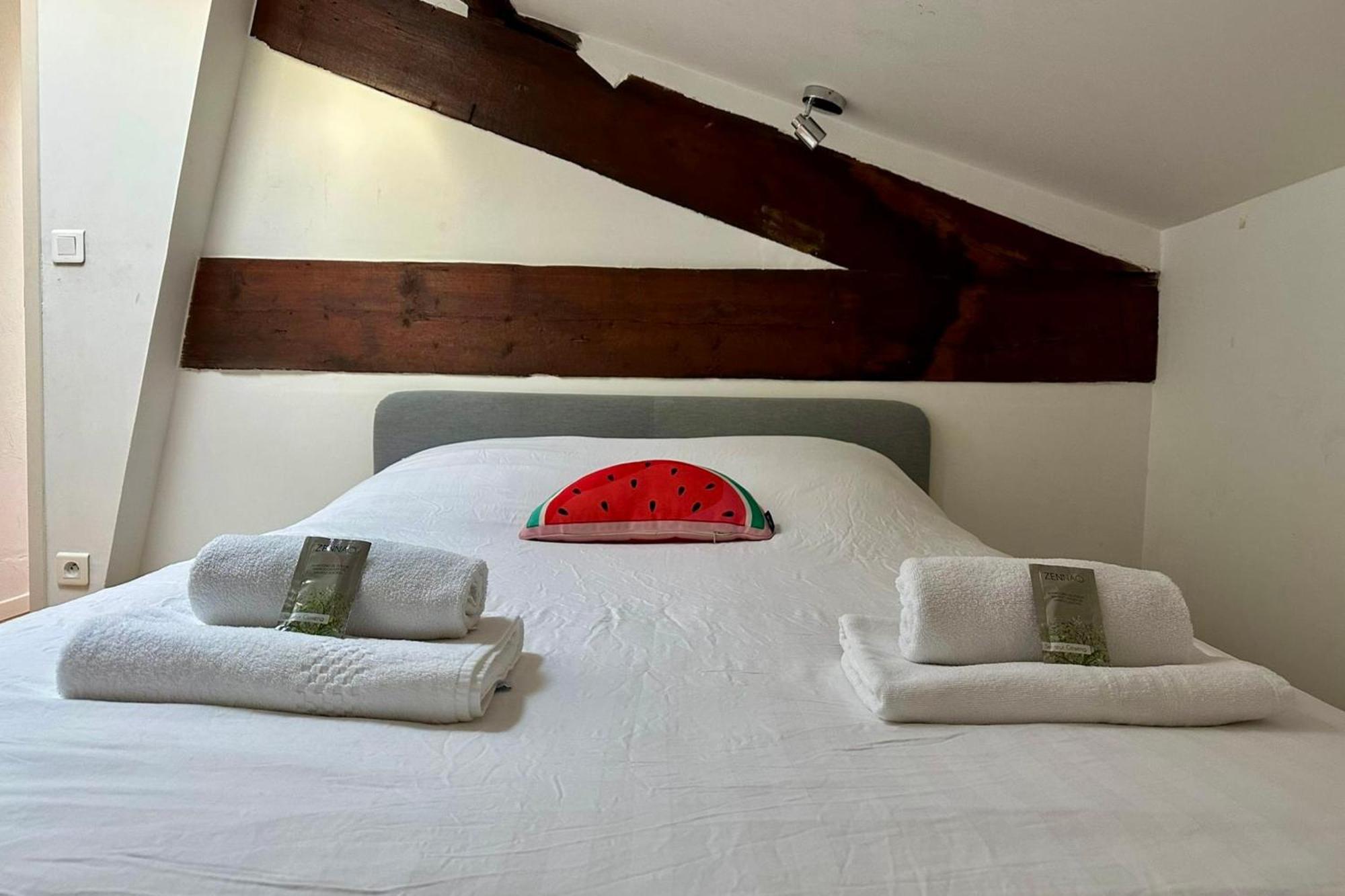 GROOMI Le Duplex- Climatisé, 3 chb centre de Montpellier! Extérieur photo